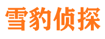 罗定侦探公司